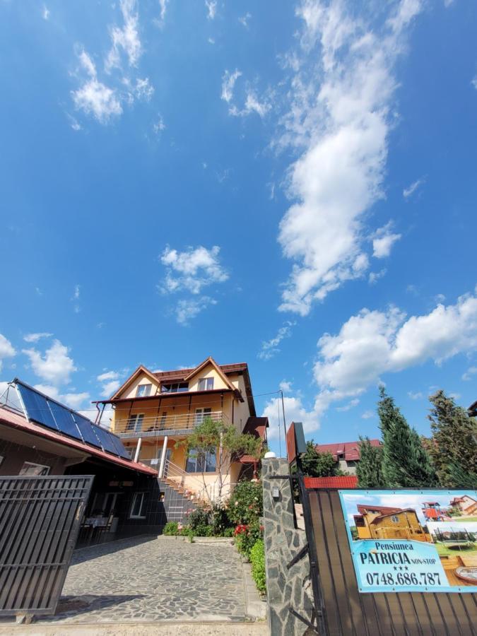 Pensiunea Patricia Oesti-Paminteni Exterior foto