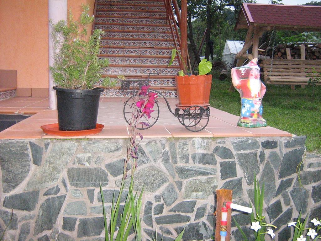 Pensiunea Patricia Oesti-Paminteni Exterior foto