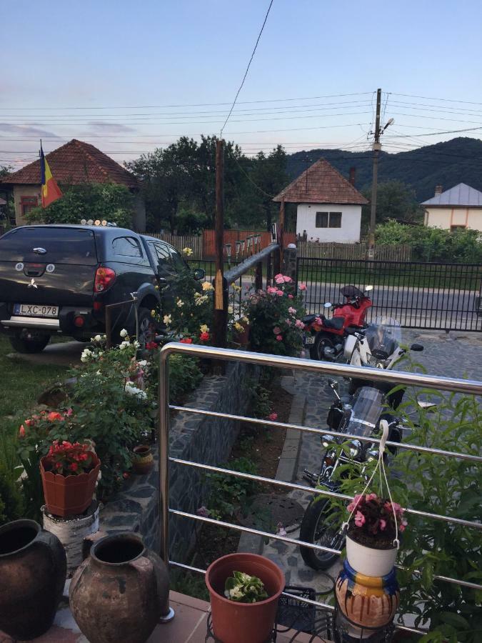 Pensiunea Patricia Oesti-Paminteni Exterior foto